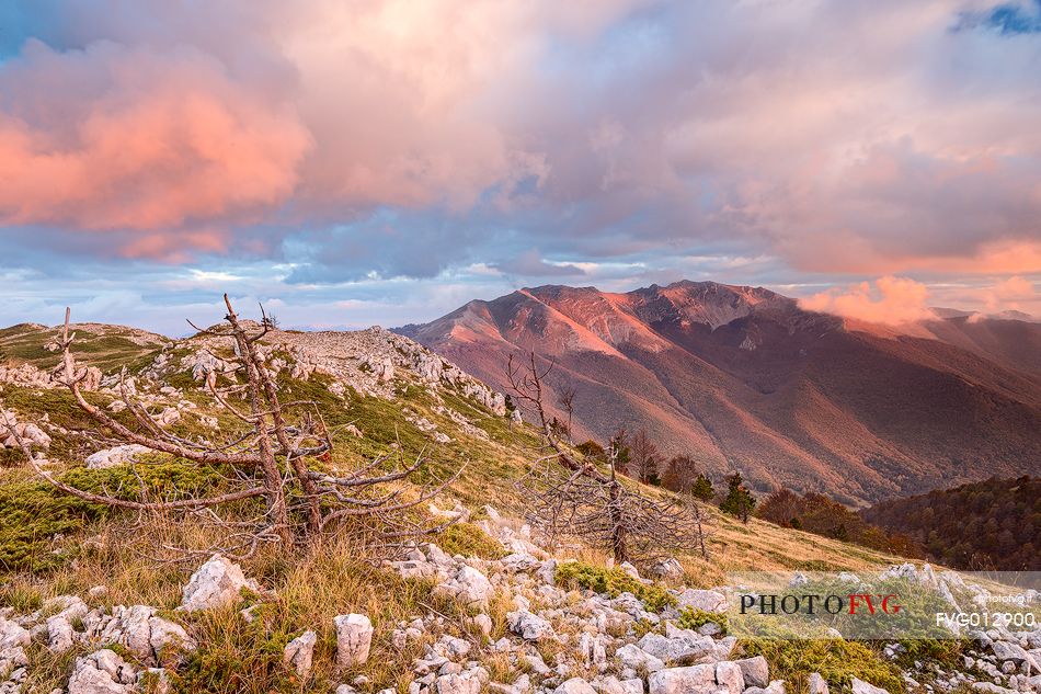 Susnet on Cantari's mountain