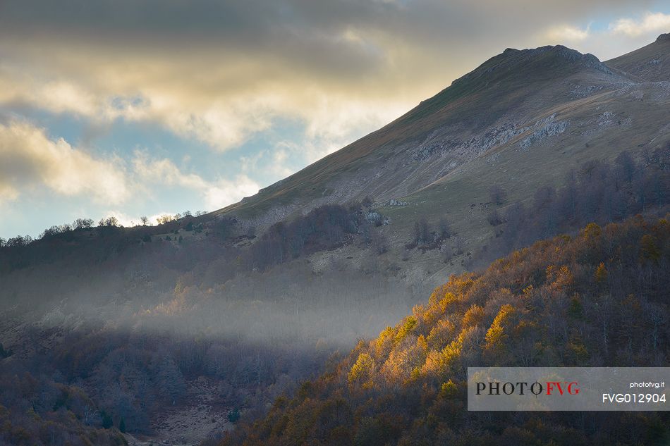 Autumnal spot