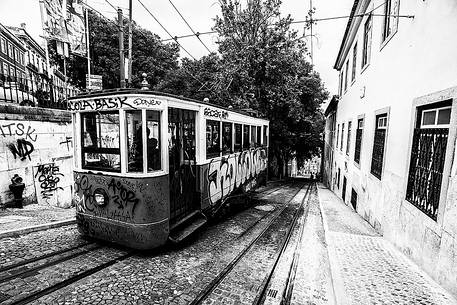 A typically lisbon's lift