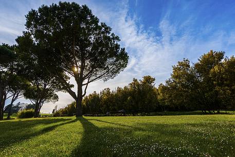 Natural Park 