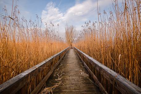 Path of Posta fibrin's lake