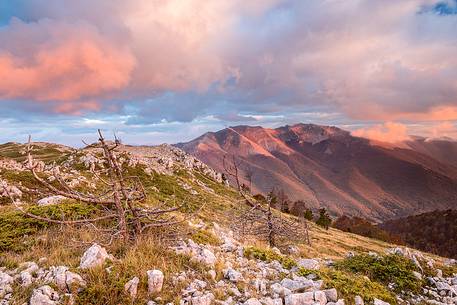 Susnet on Cantari's mountain