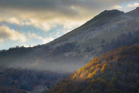 Autumnal spot