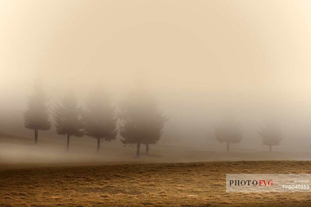 The morning mist envelops the Cansiglio plain in a protective and reassuring embrace, Cansiglio forest, Veneto, Italy, Europe