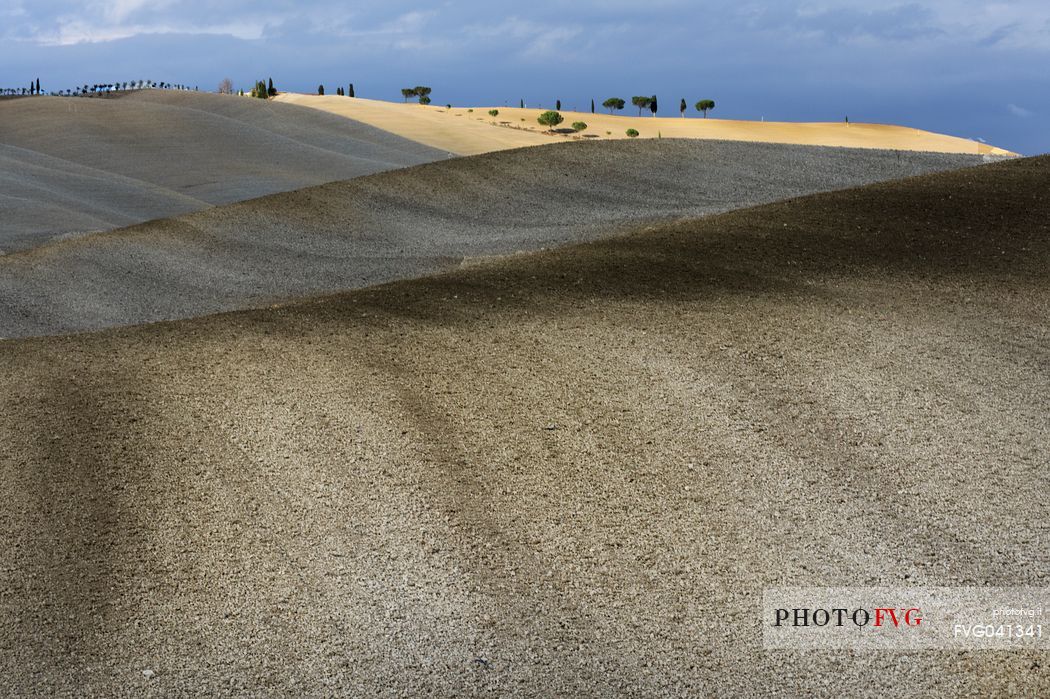 Nuances and sinuosity in the autumnal landscape of Val d'orcia or Orcia valley, Tuscany, Italy, Europe Nuances and sinuosity in the autumnal landscape of Val d'orcia or Orcia valley, Tuscany, Italy, Europe