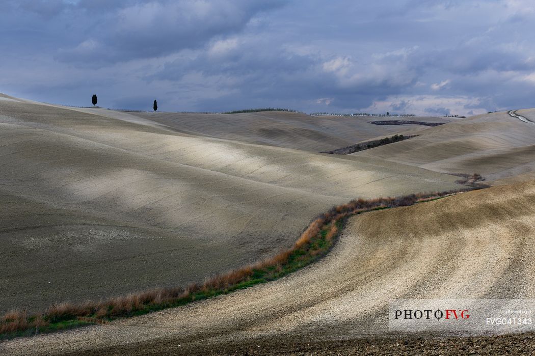 Nuances and sinuosity in the autumnal landscape of Val d'orcia or Orcia valley, Tuscany, Italy, Europe