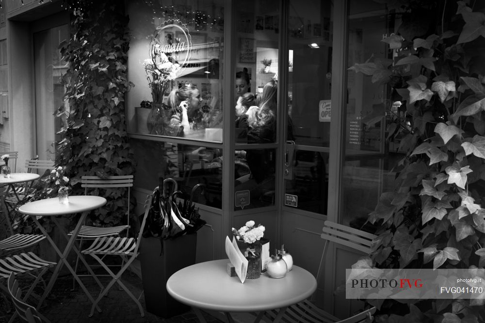 Young women relaxing chatting talking in coffee shop of Treviso town, Veneto, Italy, Europe