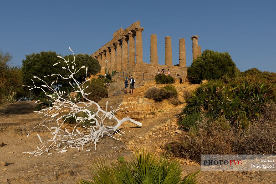 Temple of Juno in the Valley of the Temples or valle dei Templi, Agrigento, Sicily, Italy, Europe