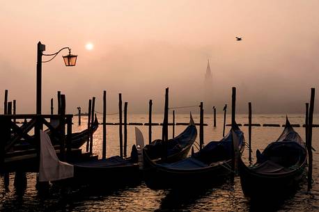 On a foggy winter morning, the bell tower of the San Giorgio island breaks through the fog while the gondolas sway slightly in the Venice lagoon, Venice, Veneto, Italy