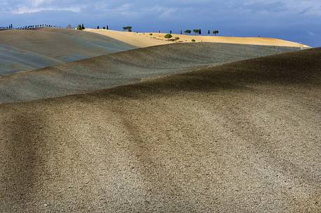 Nuances and sinuosity in the autumnal landscape of Val d'orcia or Orcia valley, Tuscany, Italy, Europe Nuances and sinuosity in the autumnal landscape of Val d'orcia or Orcia valley, Tuscany, Italy, Europe