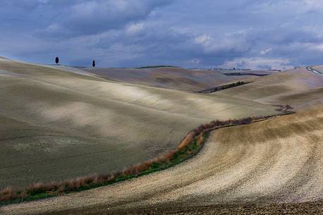 Nuances and sinuosity in the autumnal landscape of Val d'orcia or Orcia valley, Tuscany, Italy, Europe