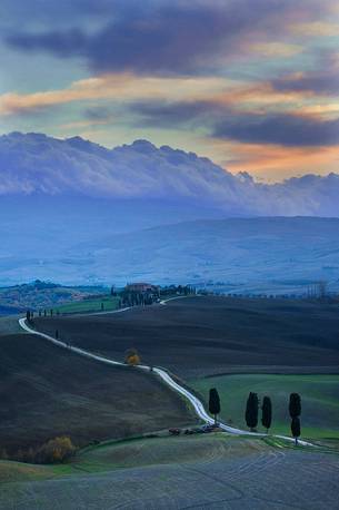 Dirt road and farm in the Val d'Orcia or Orcia valley at twilight, Tuscany, Italy, Europe