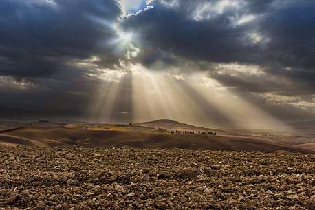 Dawn in the hills of the Val d'Orcia, Orcia valley, Tuscany, Italy, Europe Dawn in the hills of the Val d'Orcia, Orcia valley, Tuscany, Italy, Europe