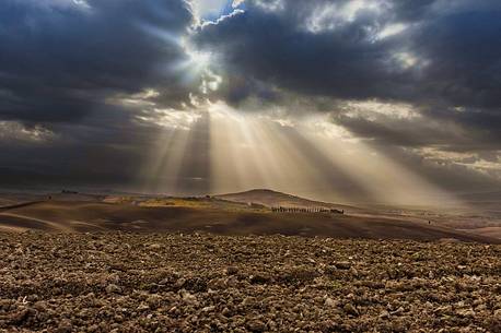 Dawn in the hills of the Val d'Orcia, Orcia valley, Tuscany, Italy, Europe