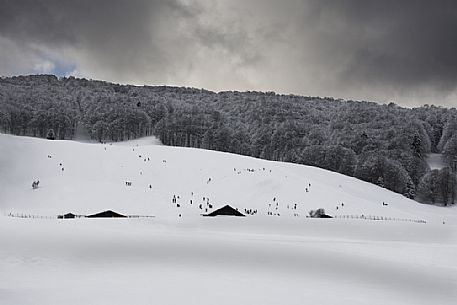 People have fun in the snow, Cansiglio forest, Veneto, Italy, Europe People have fun in the snow, Cansiglio forest, Veneto, Italy, Europe