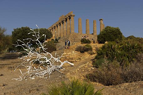 Temple of Juno in the Valley of the Temples or valle dei Templi, Agrigento, Sicily, Italy, Europe Temple of Juno in the Valley of the Temples or valle dei Templi, Agrigento, Sicily, Italy, Europe