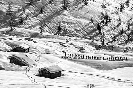 Row of hikers climb on the Fedare slope towards the Averau mount, Cortina d'Ampezzo, dolomites, Veneto, Italy, Europe