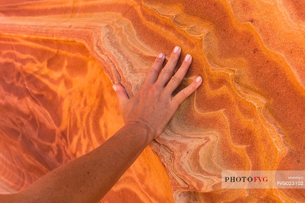 Close-up of The Wave,Paria Canyon-Vermilion Cliffs Wilderness, Arizona, United States