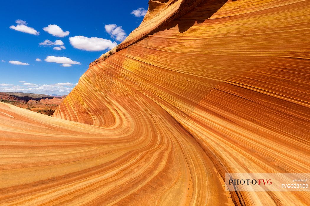 The Wave is a sandstone rock formation  located in Arizona close to  the Utah border, Paria Canyon-Vermilion Cliffs Wilderness, United States