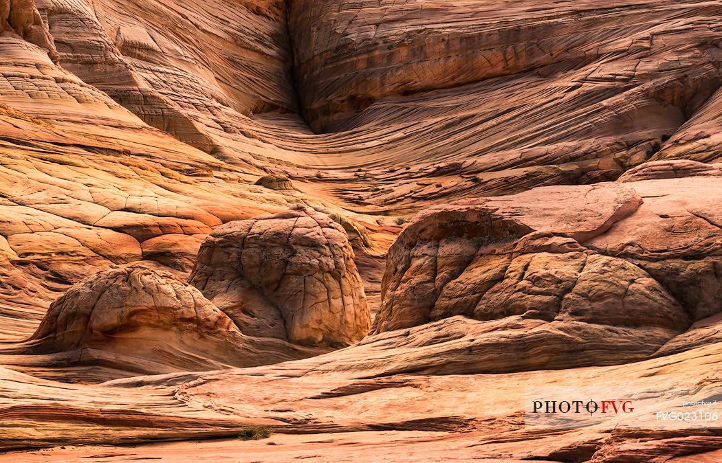 Paria Canyon-Vermilion Cliffs Wilderness, Arizona, United States