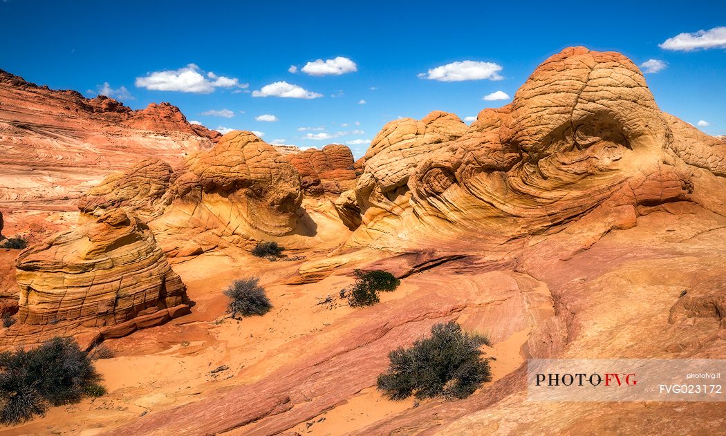 Paria Canyon-Vermilion Cliffs Wilderness, Arizona, United States