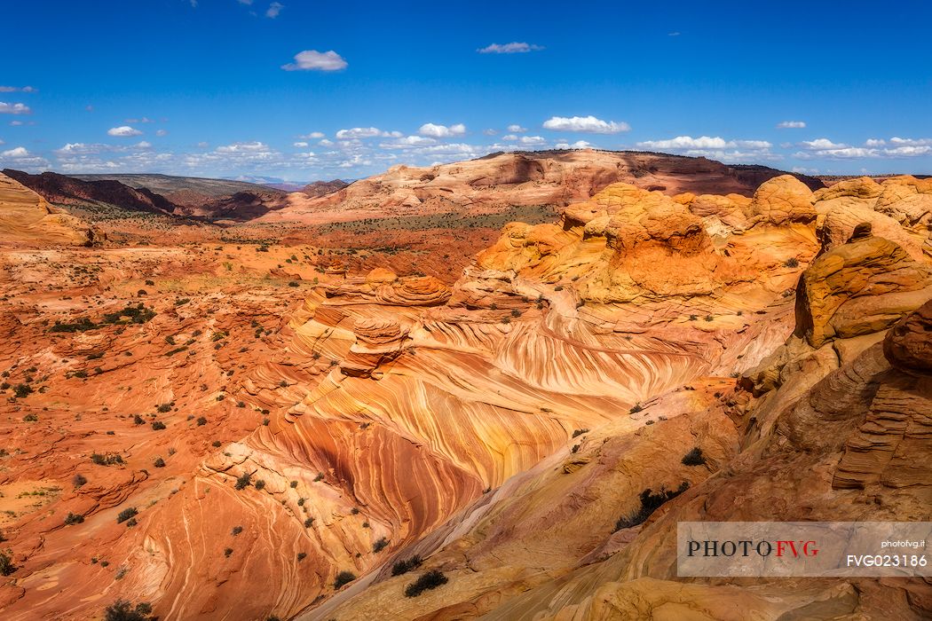 Paria Canyon-Vermilion Cliffs Wilderness, Arizona, United States