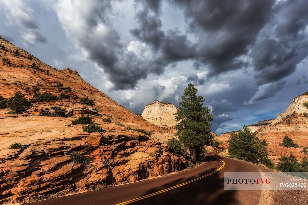 Road in the Zion National park, Utah, USA