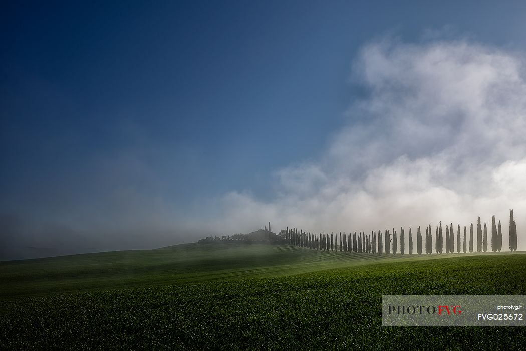 Countryside farm Poggio Covili,  San Quirico D'Orcia, Tuscany, Italy