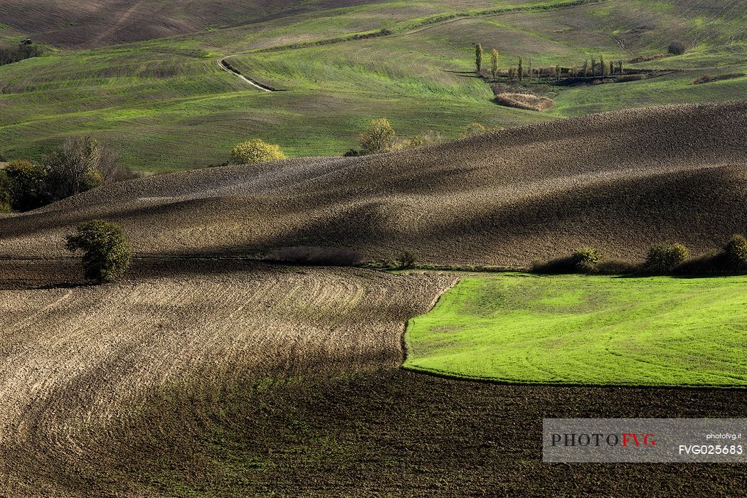 Fields hills in Orcia Valley, Tuscany, Italy