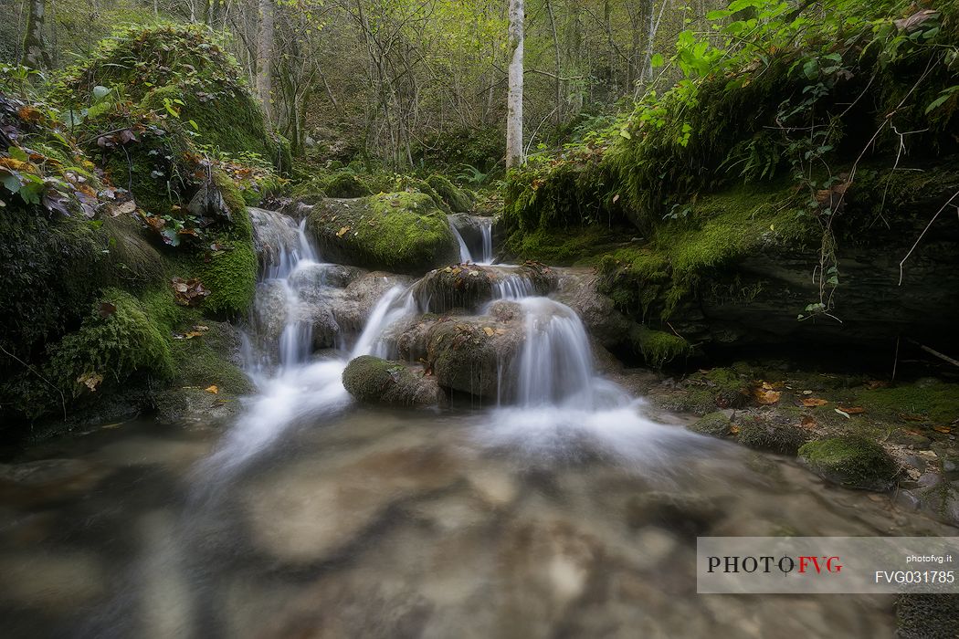 Kot stream a little creek in Natisone valley,  Friuli Venezia Giulia, Italy