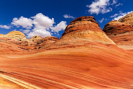 Paria Canyon-Vermilion Cliffs Wilderness, Arizona, United States