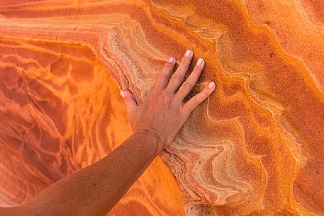 Close-up of The Wave,Paria Canyon-Vermilion Cliffs Wilderness, Arizona, United States
