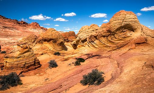 Paria Canyon-Vermilion Cliffs Wilderness, Arizona, United States