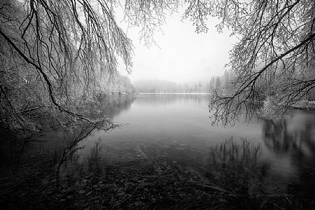 Lake in Plitvice National park, Croatia