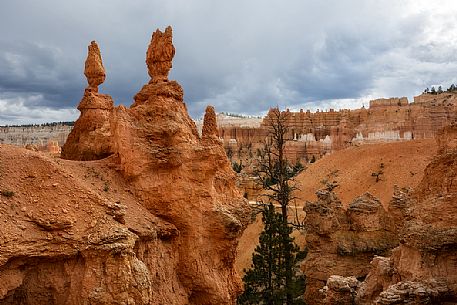 Bryce Canyon National Park, Utah, United States of America Bryce Canyon National Park, Utah, United States of America