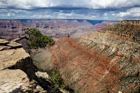 south rim Grand Canyon National Park , Arizona, USA
