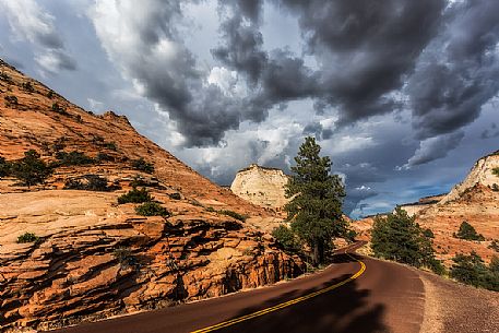 Road in the Zion National park, Utah, USA
