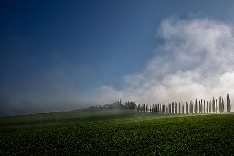 Countryside farm Poggio Covili, San Quirico D'Orcia, Tuscany, Italy Countryside farm Poggio Covili, San Quirico D'Orcia, Tuscany, Italy