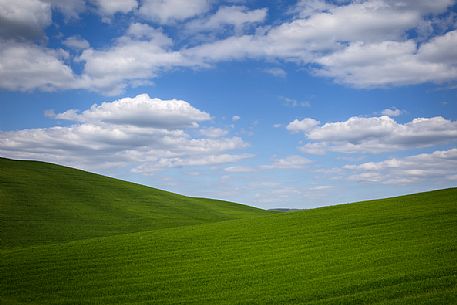 Green Hills, San Quirico D'Orcia, Tuscany, Italy Green Hills, San Quirico D'Orcia, Tuscany, Italy