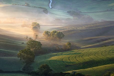 Foggy morning, San Quirico D'Orcia, Tuscany, Italy