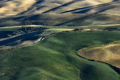 Fields hills in Orcia Valley, Tuscany, Italy