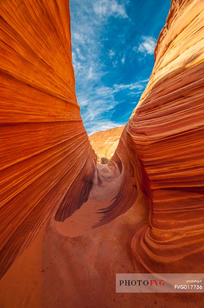 The view of the beautiful The Wave, Arizona-Utha