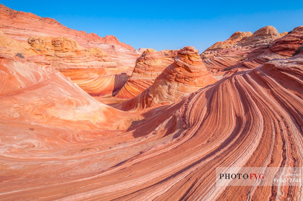 The view of the beautiful The Wave, Arizona-Utha