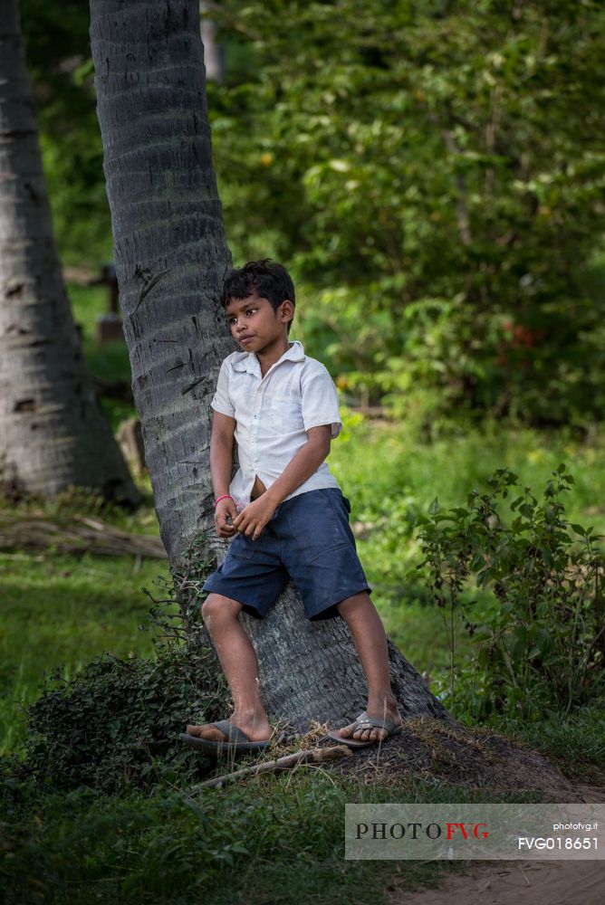 Young child under a tree