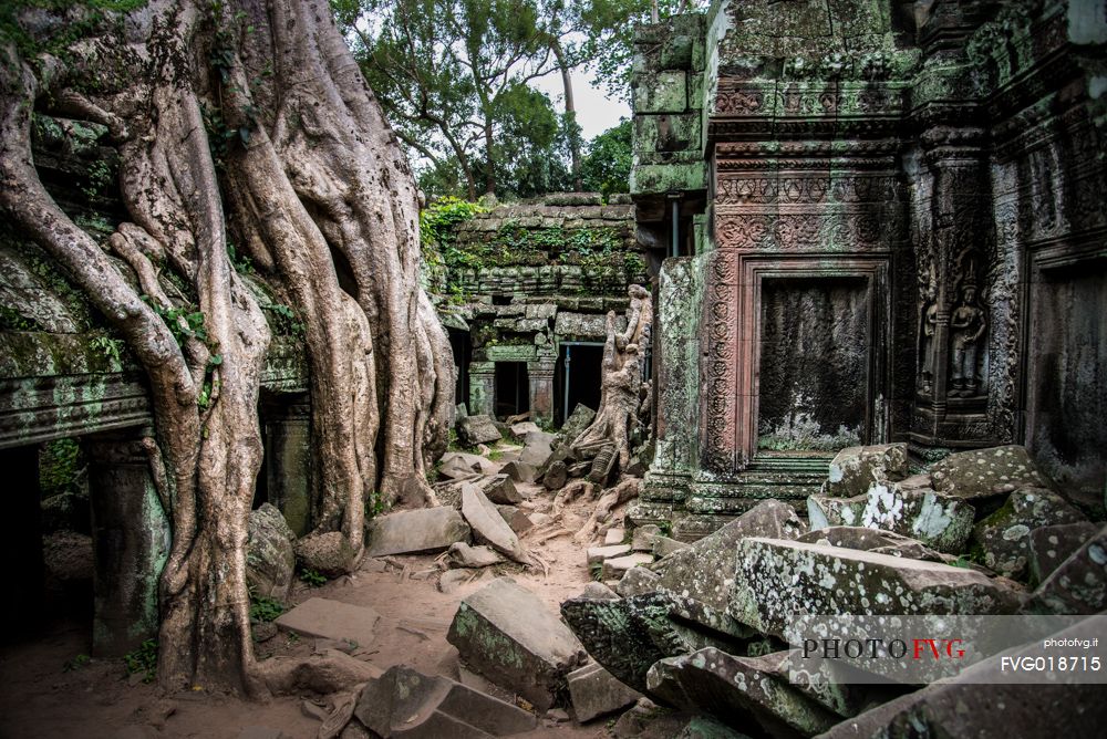 Ta Prohm temple