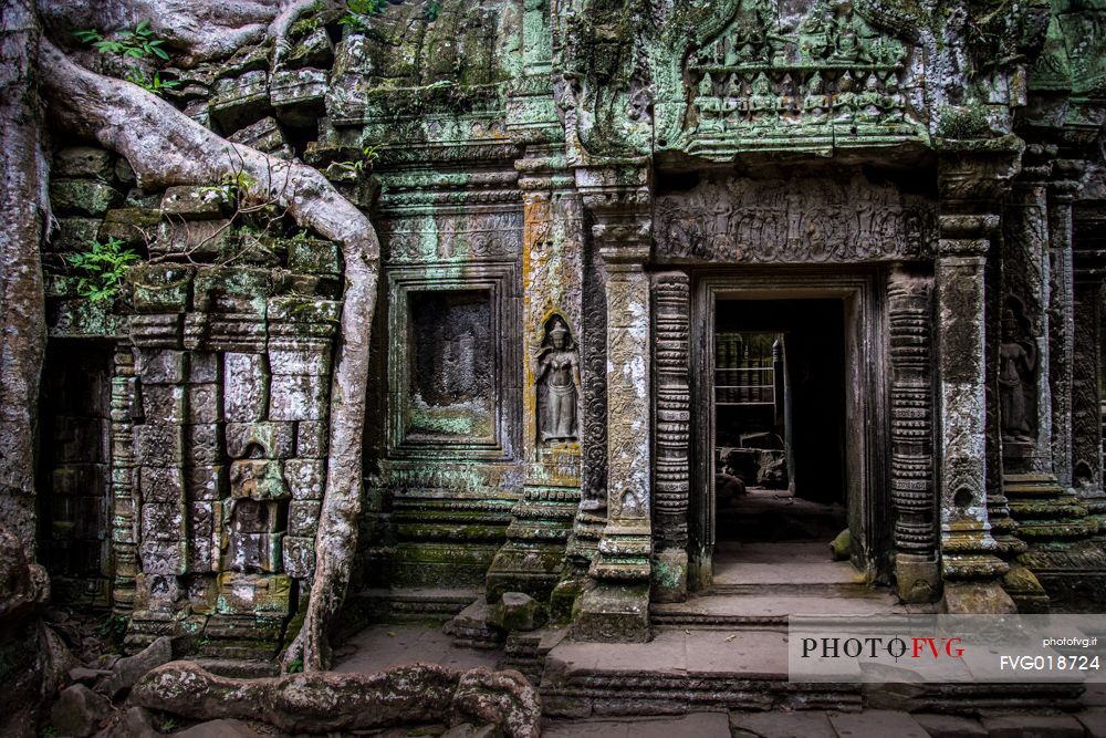 Ta Prohm temple