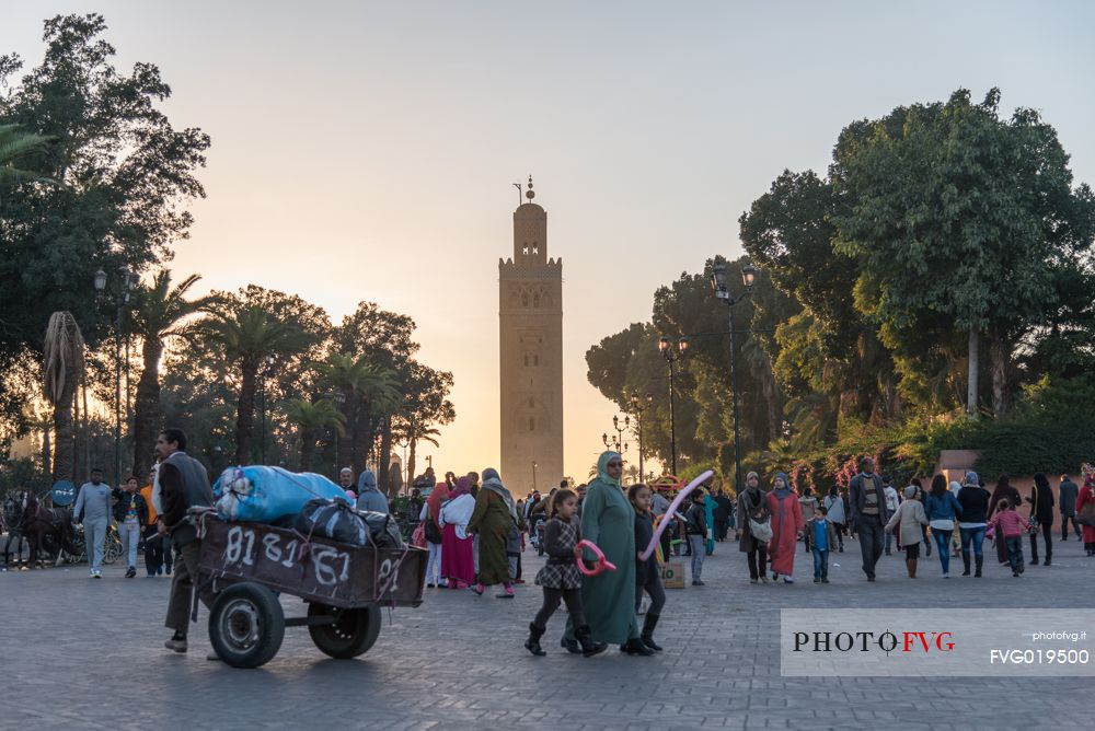 Koutoubia mosque views from the gardens at sunset, Marrakech, Marocco