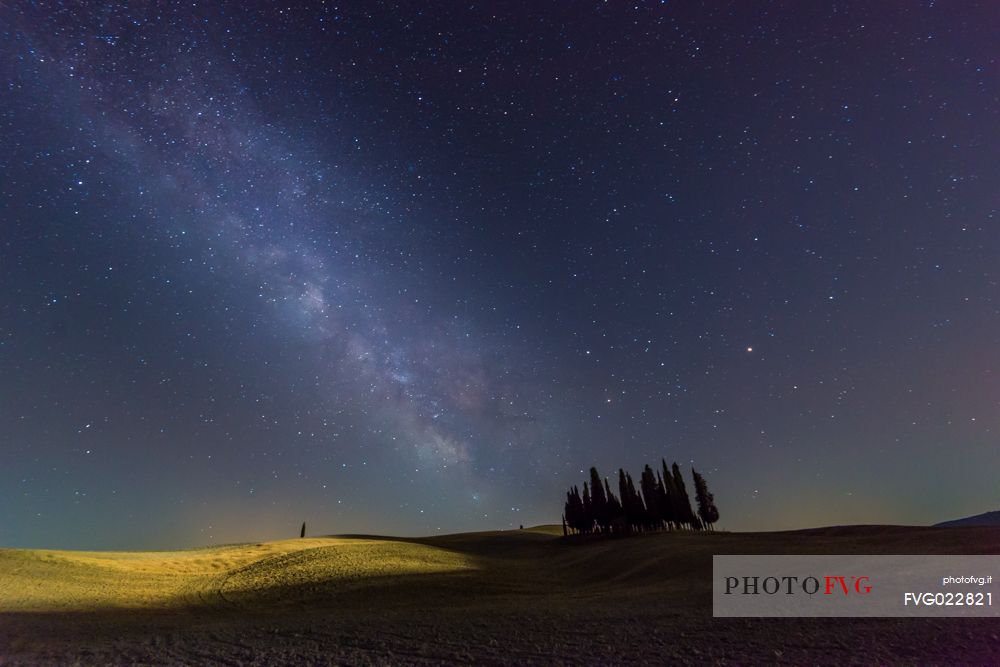 Milky way on cypress of San Quirico d'Orcia, Tuscany, Italy