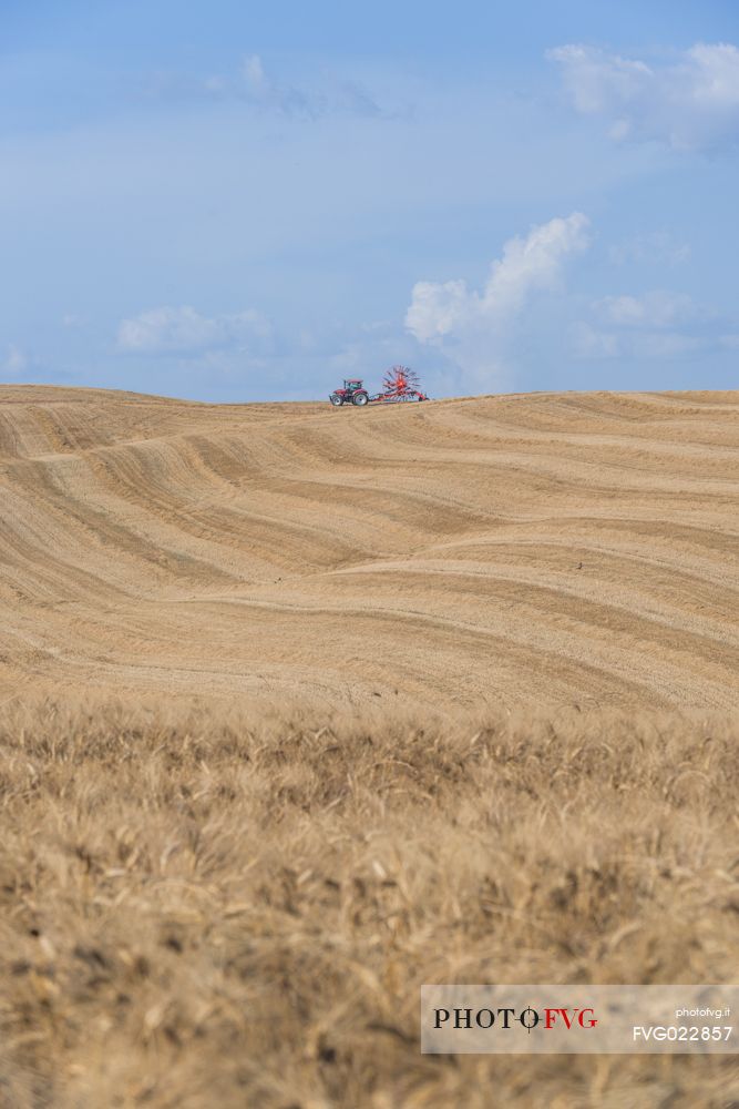 Country work in Orcia valley, Tuscany, Italy