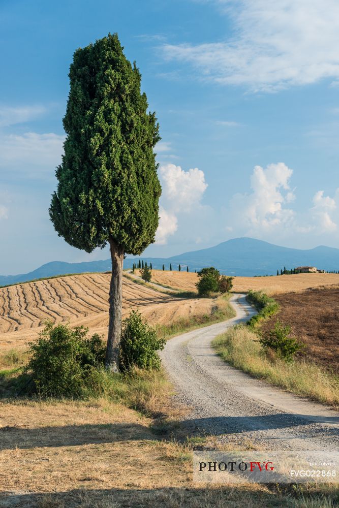 Country street in Orcia valley, Tuscany, Italy